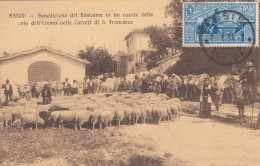 Assisi Benedizione Del Bestiame In Un Casale Della Via Dell'Eremo - Perugia