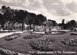 Cartolina Terni - Giardini Pubblici Di Via Campofregoso - Terni
