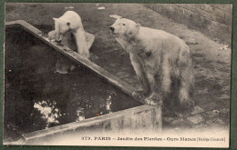 75 - PARIS - Jardin Des Plantes - Ours Blancs - Parcs, Jardins