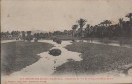 COLOMB BECHAR Répartition De L'eau Du Barrage Arrosant Les Jardins - Bechar (Colomb Béchar)