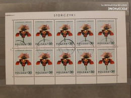 1965	Poland	Flowers 29 - Unused Stamps