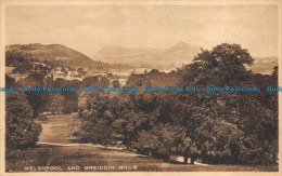 R158674 Welshpool And Breiddin Hills. Valentine. Gravuretype - Monde
