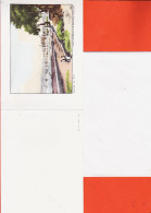 12392 / ⭐ ♥️ CANNES En 1858 D'après UNE Estampe CONTINI Bibliotheque Nationale Double-Carte Avec Son Enveloppe  - Cannes