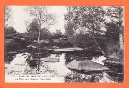 12066 / ⭐ Foret De FONTAINEBLEAU 77-Seine Et Marne La Mare Aux Pigeons ( FRANCHARD ) 1910s Edition DULAC 117 - Fontainebleau