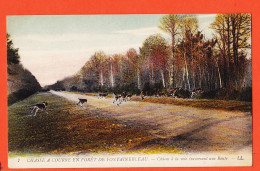 12068 / ⭐ Foret De FONTAINEBLEAU (77) Chasse à Courre Chiens à La Voie Traversant Une Route 1910s LEVY 7 - Fontainebleau