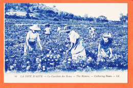 12381 / ⭐ ( Etat Parfait ) La COTE D'AZUR Cueillette Des Roses The RIVIERA Cathering Roses 1910s LEVY NEURDEIN 14 - Otros & Sin Clasificación