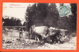 12247 / ⭐ ♥️ CERET (66) Attelage Boeufs Paysan Ramassage Cailloux Vue Sur TECH 1906 à Marius BOUTET Paris- LABOUCHE 229  - Ceret