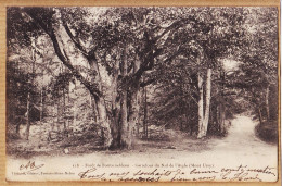 12008 / ⭐ FONTAINEBLEAU Forêt Carrefour Du Nid De L' AIGLE Mont USSY 1900s à OSWALD DUCROS Cassagnoles-THIBAULT 118 - Fontainebleau