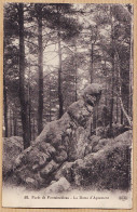 12025 / ⭐ Forêt De FONTAINEBLEAU La Dame D' APREMONT Rocher Granit 1910s LE DELEY 60 - Fontainebleau