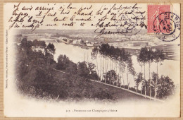 12170 / ⭐ CHAMPAGNE-sur-SEINE 77-Seine-Marne Panorama 1905 à Paul RIPAUX Montargis-Cliché MICHEL THIBAULT 347 - Autres & Non Classés