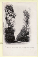 12115 / ⭐ MONTEREAU Seine Marne Promenades Des NONES , La Grande Allée 1900s à GIRAULT CAFE - Veuve MASSE NEURDEIN 19 - Montereau