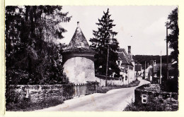 12214 / ⭐ BELLOT 77-Seine Marne Vue Sur Le FOURCHERET Route Village CPSM Postée 1957 - Photo Véritable GUY 25574 - Autres & Non Classés