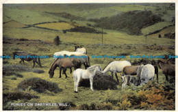 R157154 Ponies On Dartmeet Hill. Kenneth E. Ruth - World