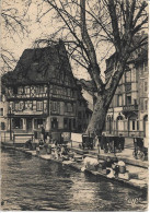 COLMAR - Le Vieux Comlar - Le Lavoir De La Place De La Sinne - Colmar