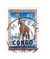 Oblitération "Mateko" Sur Girafe. - Used Stamps