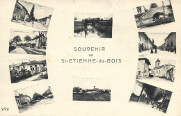 Ref ( 20930  )   St Etienne Du Bois - Non Classés