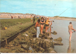 BERCK-SUR-MER (62) Pêcheurs Sur L'Epi Dans La Baie D'Authie  CPM  GF - Berck