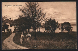 AK Henndorf Am Wallersee, Seebrunn Mit Zwei Frauen Auf Einem Feldweg  - Autres & Non Classés