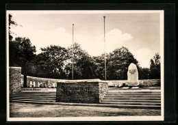 AK Berlin, Zentralfriedhof Friedrichsfelde, Gräber Der Grossen Sozialisten  - Other & Unclassified