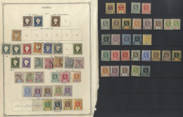 GAMBIA 1869-1929 Mainly M (a Few U) Collection Incl. 1869-72 4d No Wmk Unused (Cat. £500), 6d U, Red C.d.s (Cat. £180),  - Sonstige & Ohne Zuordnung