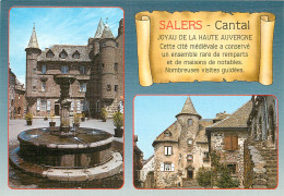 15 SALERS MULTIVUES - Other & Unclassified