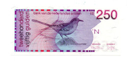 NEDERLAND PAYS-BAS ANTILLE 250 GULDEN 31.3.1986 UNC - Netherlands Antilles (...-1986)