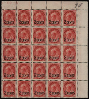 1899 2c On 3c Rose Carmine Upper Right Corner Marginal Block Of Twenty Five, Fresh UM, Lower Five Stamps With Horizontal - Other & Unclassified