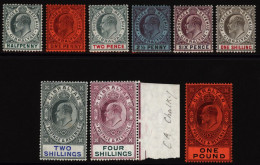 1904-08 MCCA Set, M (2½d Crease, 2s Gum Tones), SG.56/64. (9) Cat. £650. - Other & Unclassified