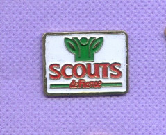 Rare Pins Scouts De France P306 - Verenigingen