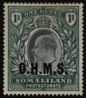 OFFICIAL 1904-05 O.H.M.S 1r Green CCC, M (hinge Remnant), Reverse Bears Guarantee H/stamp, SG.O15. (1) Cat. £275 - Sonstige & Ohne Zuordnung