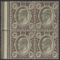 1902 2s Black Brown, Fresh UM Block Of Four, SG.252. (4) Cat. £300++ - Other & Unclassified