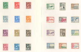 1937-63 M Collection On Leaves Incl. 1938 Defin Set, 1948 Wedding, 1953, 1956 & 1963 Defin Sets. (67) Cat. £300 - Other & Unclassified