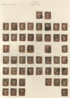 1841 1d Red Imperf Accumulation Of Around 1000 Used Examples On Pages, Most Are Plated And Many Have Plate Characteristi - Altri & Non Classificati