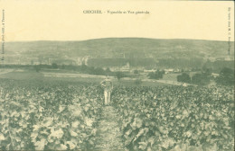 CPA CP Yonne 89 Chichée Vignoble Et Vue Générale Em Lenoble Phot édit Tonnerre En Vente Chez C Drouin Puison - Other & Unclassified