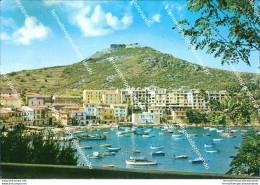 Br375 Cartolina Porto Ercole Panorama Provincia Di  Grosseto Toscana - Grosseto