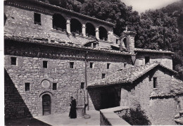Cartolina Assisi ( Perugia ) Eremo Delle Carceri - Chiostro - Perugia