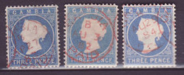 Gambia 3d Ultramarine Value Set Of 3 SG14B 14cB And 14CB Intermediate Shade With Very Nice  - Gambie (...-1964)