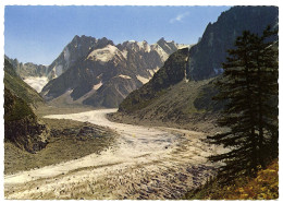 CHAMONIX - MONT-BLANC - La Mer De Glace Et Les Grandes Jorasses - Chamonix-Mont-Blanc