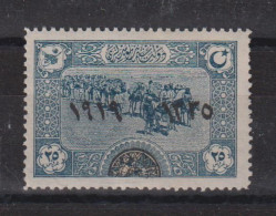 Turquie 1920 Anniversaire Du Sultan 598, 1 Val ** MNH - Nuovi