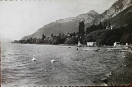 Les Bords Du Lac D'Annecy à Menthon Saint Bernard - Andere & Zonder Classificatie