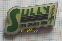 PAT14950 LYCEE AGRICOLE PRIVEE SULLY à MAGNANVILLE Dpt 78 YVELINES - Ciudades