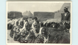 Algérie  ? - Tunisie  ? - Maroc  ? - Animaux - Chèvres - Chèvre - Goats - Goat - Carte Photo - A Identifier - état - Altri & Non Classificati