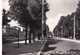 Cartolina Foligno - Viale Mezzetti ( Med D'oro ) - Foligno