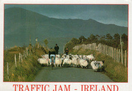 - TRAFFIC JAM - IRELAND - Photography  Rom Sanford. - - Andere & Zonder Classificatie