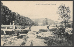 CPA CARTE POSTALE BELGIQUE PAYSAGE D' ARDENNE LES BRESSAIS - Autres & Non Classés