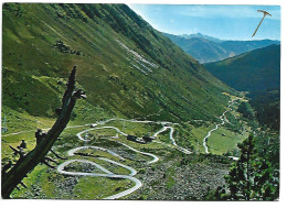 CUEVAS DE LA MARE DE DEU.- PORT DE LA BONAIGUA.-  PIRINEU CATALA.- LLEIDA.-  ( CATALUNYA ) - Lérida