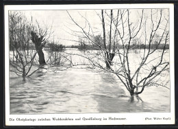AK Weddersleben, Die Obstplantage Zwischen Weddersleben U. Quedlinburg Im Hochwasser 1925  - Floods