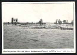 AK Quedlinburg, Hochwasser Der Bode Dezember 1925, Dammbruch Zwischen Quedlinburg Und Neinstedt  - Überschwemmungen