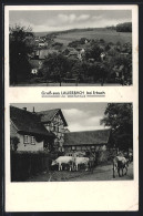 AK Lauerbach Im Odenwald, Viehtrieb Im Ort, Ortsansicht  - Odenwald