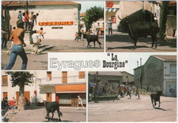 13. Gf. EYRAGUES. La Bourgine. 4 Vues. 8115 - Other & Unclassified
